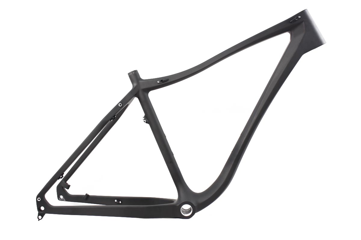 Carbon Hardtail Fat Bike Frame FT100
